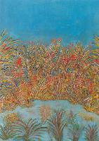 img/Opere varie - 9/Lo stagno.jpg